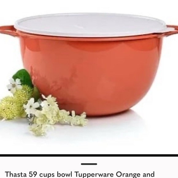 Tupperware Orange and White Food Storage Bowl